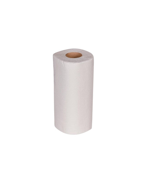 2-Ply Paper Towel Roll (Pack of 24)